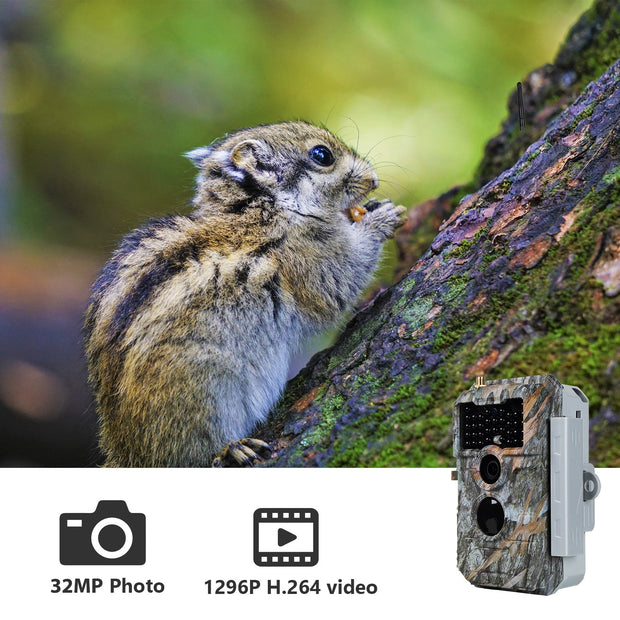 Bundel Wildcamera WiFi Bluetooth 32MP 1296P, Wildcamera met Bewegingsmelder, Nachtzicht, Waterdicht IP66, en zonnepanelenkits 8000mAh| W600 Grauw