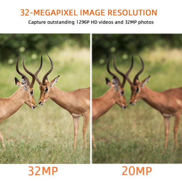 2-Pack Wildcamera WiFi Bluetooth 32MP 1296P, Wildcamera met Bewegingsmelder, Nachtzicht, Waterdicht IP66, voor Jacht, Huisbeveiliging | W600 Grauw