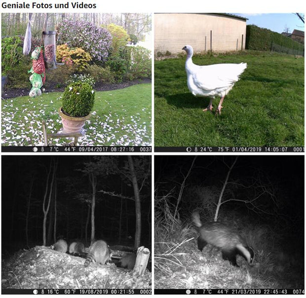 Wildcamera 32MP HD 1296P en Nachtzicht, Bewegingsmelder, 0.1s trigger, 940nm infrarood, No Glow en IP66 Waterdicht voor Jacht, Huisbeveiliging| A262 Groente