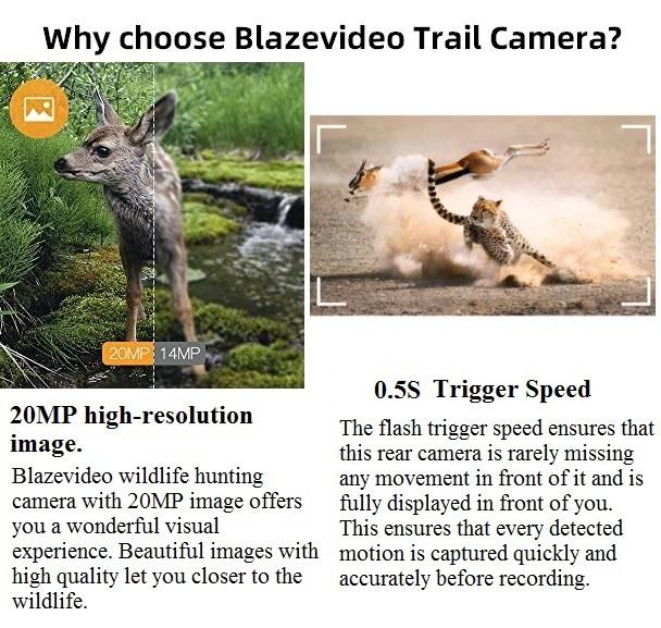 Wildcamera met 0.3S trigger en No Glow, 32MP HD 1296P, Nachtzicht en Bewegingsmelder, 940nm infrarood, IP66 Waterdicht voor Jacht, Huisbeveiliging| A252 Groente