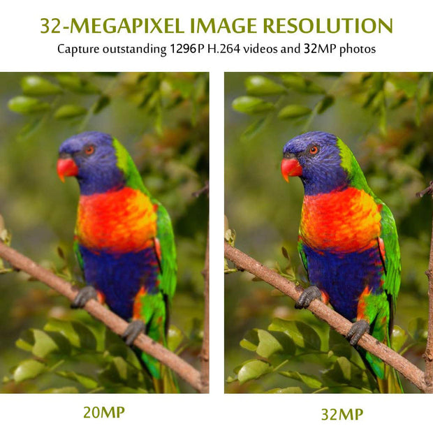 2-Pack Wildcamera 32MP HD1296P en Nachtzicht, Bewegingsmelder, 0.1s trigger, 940nm infrarood,No Glow en IP66 Waterdicht voor Jacht, Huisbeveiliging| A262 Groente