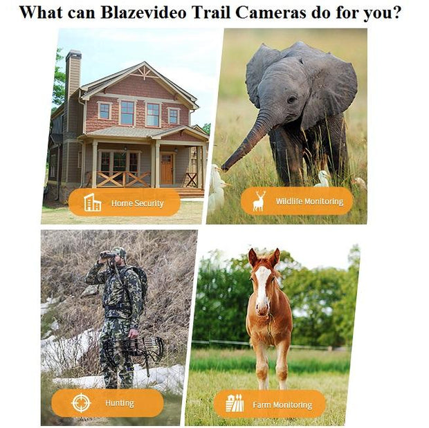 Wildcamera en Nachtzicht, Bewegingsmelder,32MP HD1296P, 940nm infrarood, No Glow, 0.1s trigger en IP66 Waterdicht voor Jacht, Huisbeveiliging| A323
