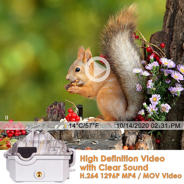 Wildcamera Wifi Bluetooth 32MP HD 1296P, Nachtzicht, Bewegingsmelder, 940nm infrarood, 0.1s trigger en IP66 Waterdicht voor Jacht, Huisbeveiliging| A350W Grauw