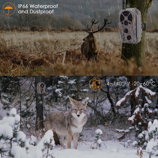 Bundel zonnepanelen en Wildcamera Wifi Bluetooth 32MP 1296P, Nachtzicht, Bewegingsmelder, No Glow 940nm infrarood, en IP66 Waterdicht| A350W Grauw