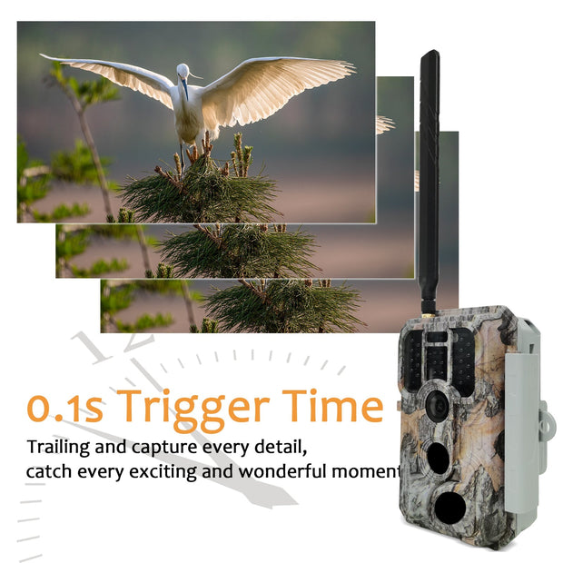 4G LTE Wildcamera met SIMkaart 32MP, HD 1296P Bewegingsmelder Nachtzicht, 0,1S Trekkersnelheid No Glow en IP66 Waterdicht voor Jacht en Faunaobservatie| A390G Grauw
