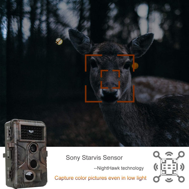 Wildcamera en Nachtzicht, Bewegingsmelder,32MP HD1296P, 940nm infrarood, No Glow, 0.1s trigger en IP66 Waterdicht voor Jacht, Huisbeveiliging| A323