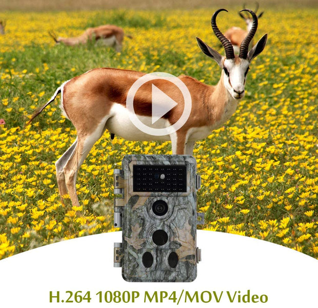 Wildcamera 32MP HD1296P en Nachtzicht, Bewegingsmelder, 0.1s trigger, 940nm infrarood, No Glow en IP66 Waterdicht voor Jacht, Huisbeveiliging| A262 Grauw