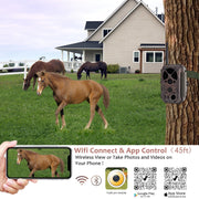 Wildcamera Wifi Bluetooth 32MP HD 1296P, Nachtzicht, Bewegingsmelder, 940nm infrarood, No Glow en IP66 Waterdicht voor Jacht, Huisbeveiliging| A350W Rood