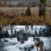 Wildcamera Wifi Bluetooth 32MP HD 1296P, Nachtzicht, Bewegingsmelder, 940nm infrarood, No Glow en IP66 Waterdicht voor Jacht, Huisbeveiliging| A350W Rood