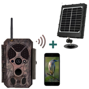 Bundel zonnepanelen en Wildcamera Wifi Bluetooth 32MP 1296P, Nachtzicht, Bewegingsmelder, 940nm infrarood, en IP66 Waterdicht voor Jacht| A350W Rood