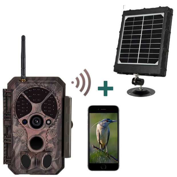 Bundel zonnepanelen en Wildcamera Wifi Bluetooth 32MP 1296P, Nachtzicht, Bewegingsmelder, 940nm infrarood, en IP66 Waterdicht voor Jacht| A350W Rood