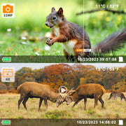 Wildcamera 32MP, 4K 2160P Full HD video met Geluid, Nachtzicht Bewegingsmelder, 940nm infrarood, 0.1s trigger en IP66 Waterdicht voor Jacht, Huisbeveiliging| T326 Grauw