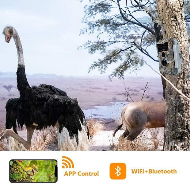 Bundel Wildcamera WiFi Bluetooth 32MP 1296P, Wildcamera met Bewegingsmelder, Nachtzicht, Waterdicht IP66, en zonnepanelenkits 8000mAh| W600 Grauw
